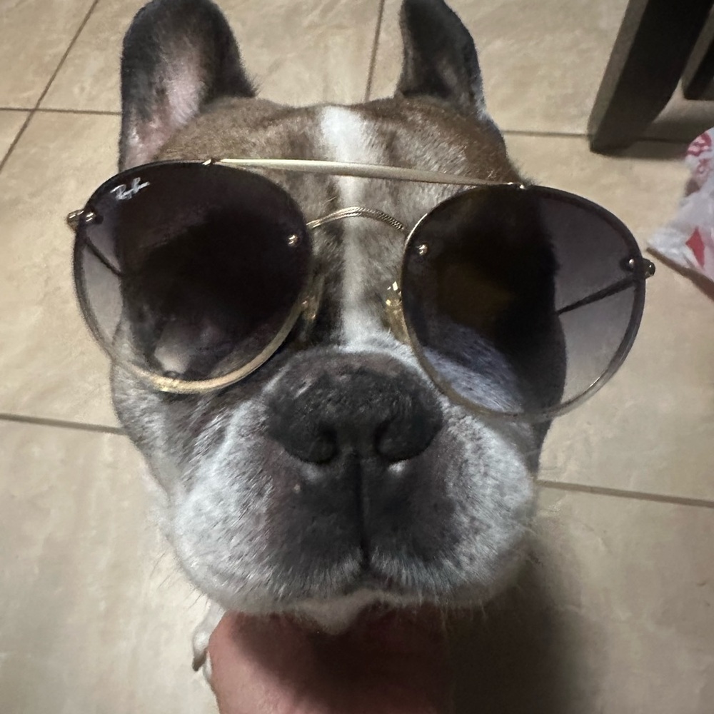 Ray-Ban Gold Frame Sunglasses with Black Lenses - Picture 5 of 7